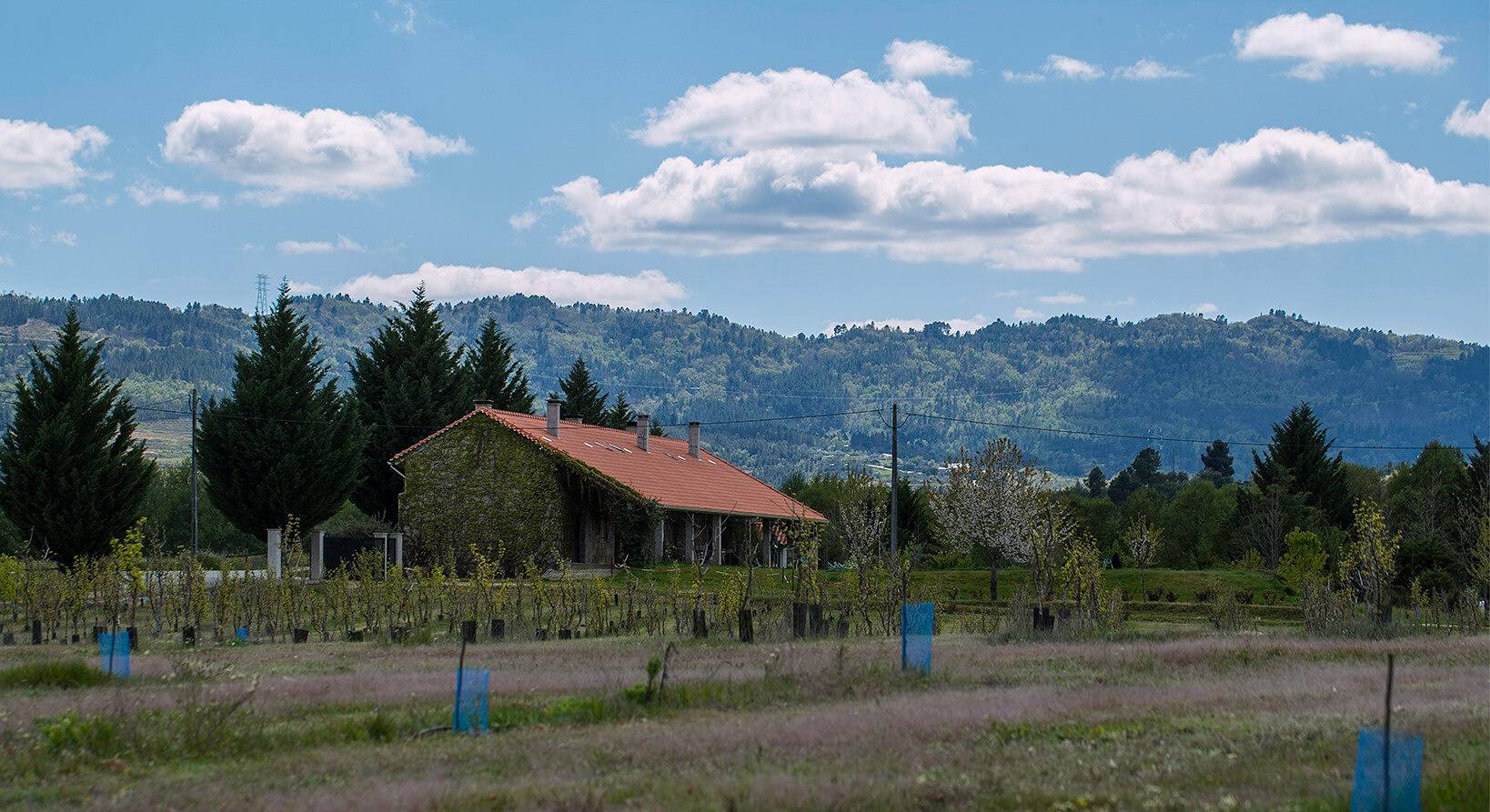 Apartamento inteiro, Apartamento 'Saqa Organic Farm' com Vista Montanha, Wi-Fi e Ar Condicionado in Peraboa, Serra da Estrela