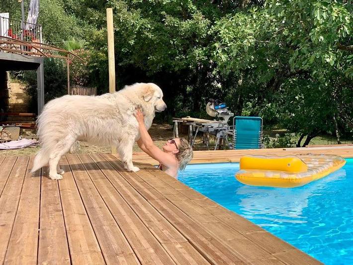 Chambre d’hôte pour 2 personnes, avec piscine et jardin, animaux acceptés - 1