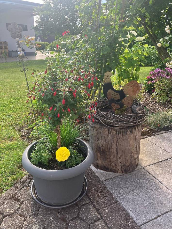 Gîte pour 2 personnes, avec jardin à Konz - 4