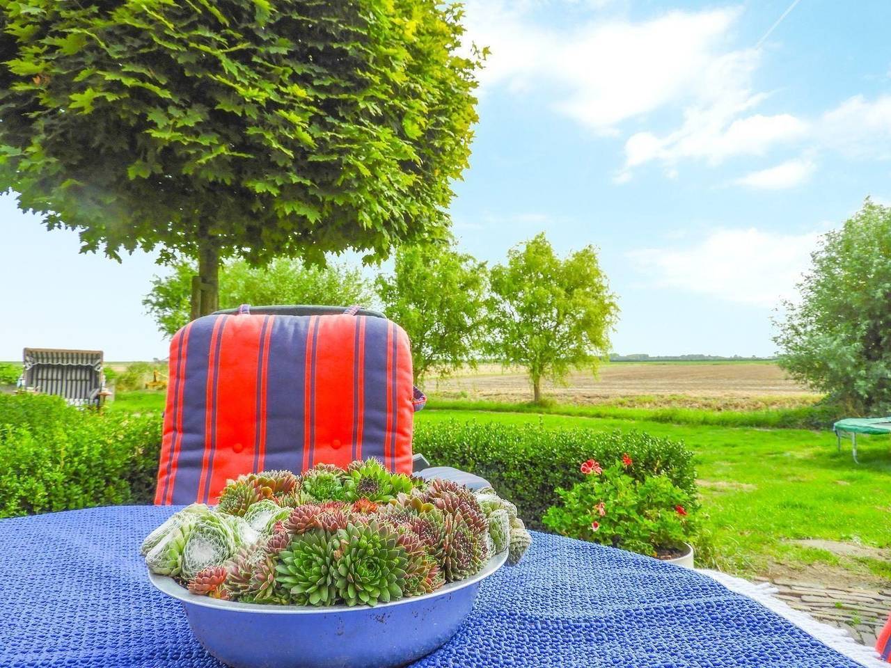 Vakantie Zeeland — Vz523 Vakantieappartement Kattendijke in Niederländische Nordsee