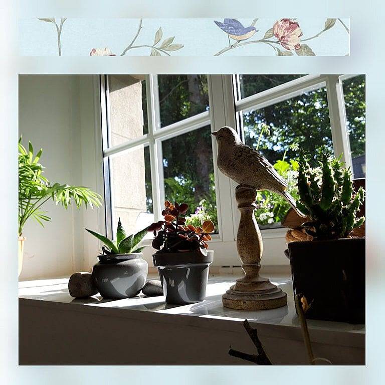 Chambres d'hôtes la Maison de Lady Muffin - Chambre Little bird in Saint-Samson-sur-Rance, Région de Dinan