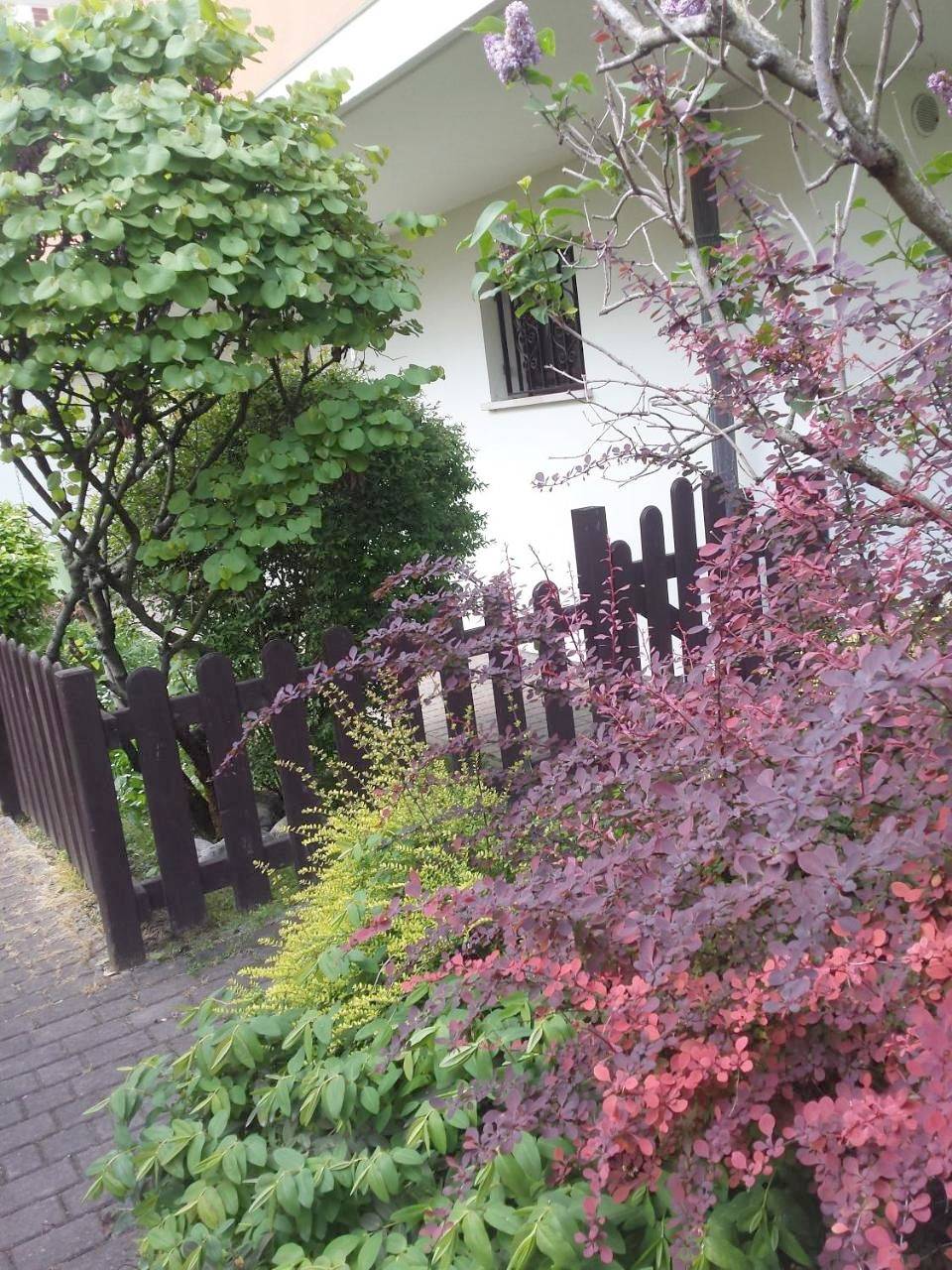 Ganze Wohnung, Apartment - Ground Floor in Padua, Padua Provinz