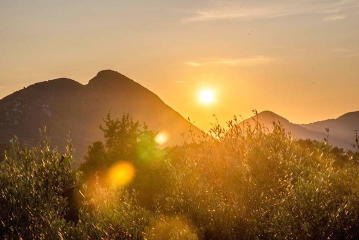 Maison d’hôte pour 4 personnes, avec jardin et bassin pour enfant ainsi que vue et piscine à Corfou - 3