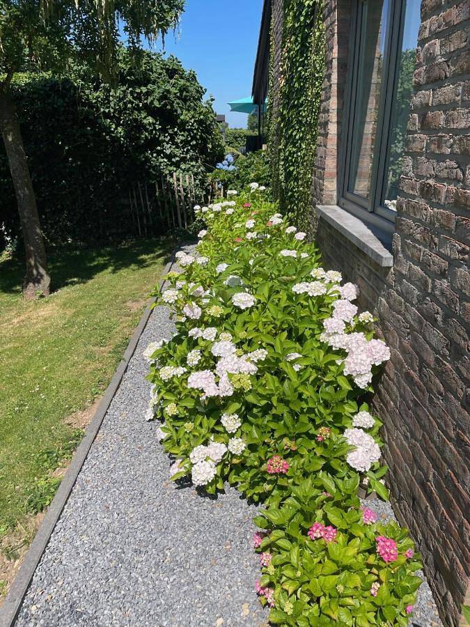 Location de vacances pour 2 personnes, avec piscine ainsi que terrasse et jardin à Jalhay - 4