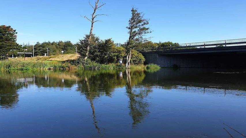 Ferienhaus für 7 Personen, mit Garten und Pool, mit Haustier in Silkeborg - 3