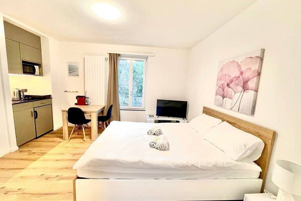 Entire apartment, Heart of Zurich Modern Studio (Hg20) in Zurich, Zurich district