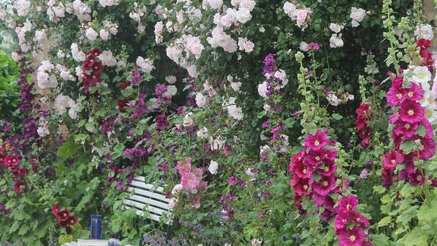 Ferienwohnung für 4 Personen, mit Garten in Pommerby - 2