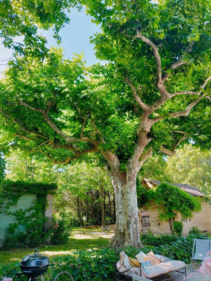 Location de vacances pour 4 personnes, avec jardin ainsi que piscine et vue à Plan-d'Orgon - 2