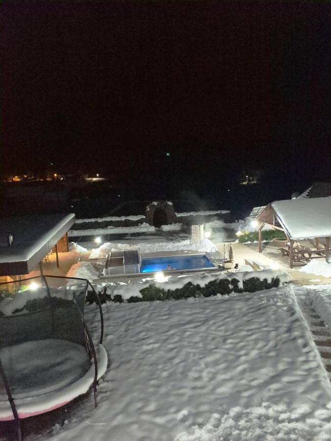 Maison d’hôte pour 8 personnes, avec vue et piscine ainsi que jardin et sauna dans Mureș - 4