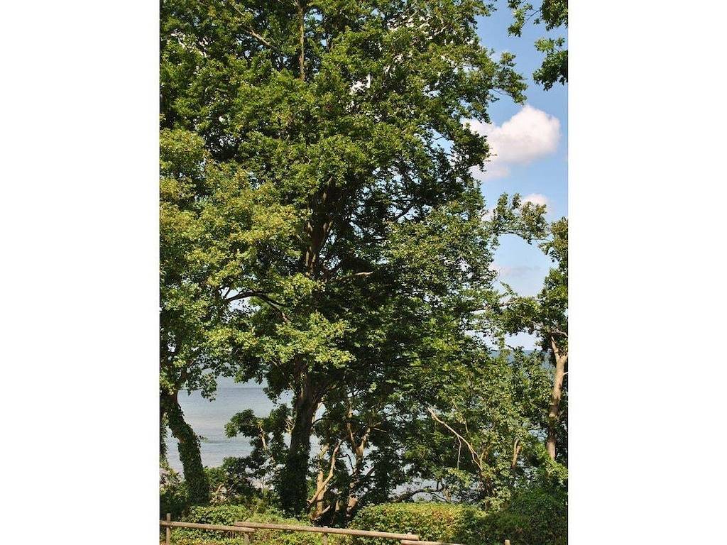 Ferienwohnung mit 2 Schlafzimmer in Hohwacht Strand, Hohwacht