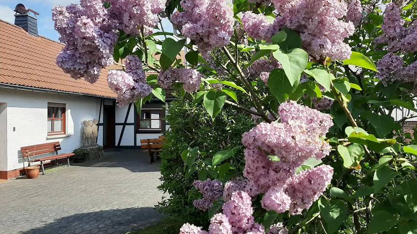 Ferienhaus für 6 Personen, mit Garten in Rhön-Hessen - 4