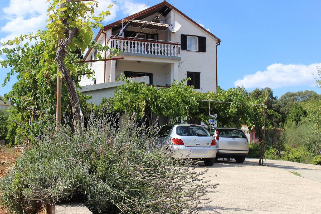 Ganze Wohnung, Apartment Ivy in Kukljica, Uglijan
