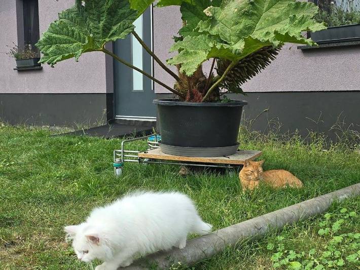 Ferienwohnung für 5 Personen, mit Garten und Terrasse, kinderfreundlich in Burg (Spreewald) - 3