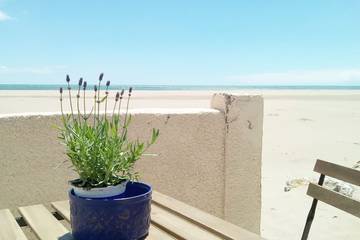Gîte pour 4 personnes, avec jardin et piscine, animaux acceptés dans Plage Mateille
