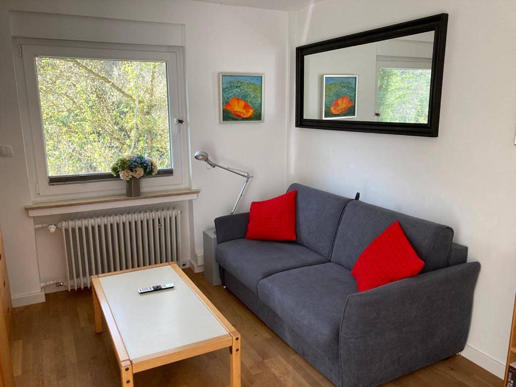 Ganze Ferienwohnung, Großzügiges Zimmer mit Terrasse am Rheinsteig in Linz am Rhein, Osteifel