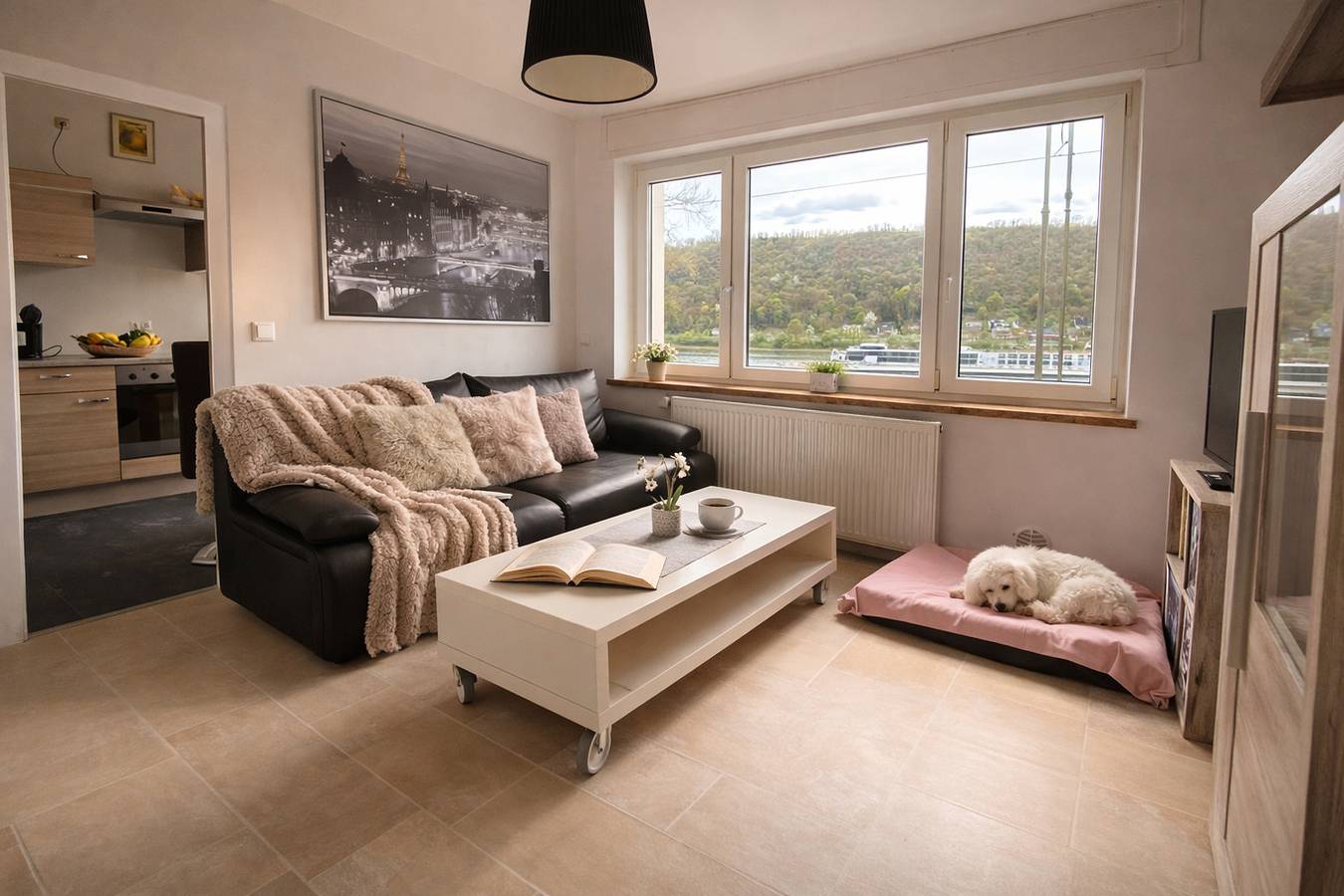 Ganze Ferienwohnung, Loreleyresidenz, App. Jerry in Sankt Goarshausen, Mittelrhein