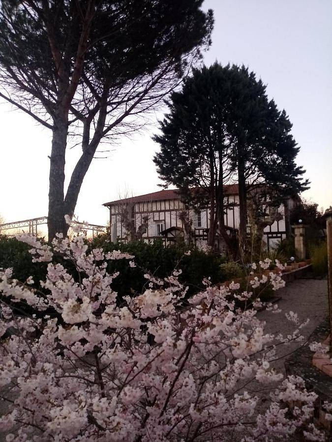 Chambre d’hôte pour 2 personnes, avec jacuzzi ainsi que piscine et jardin, animaux acceptés dans Rhône - 4