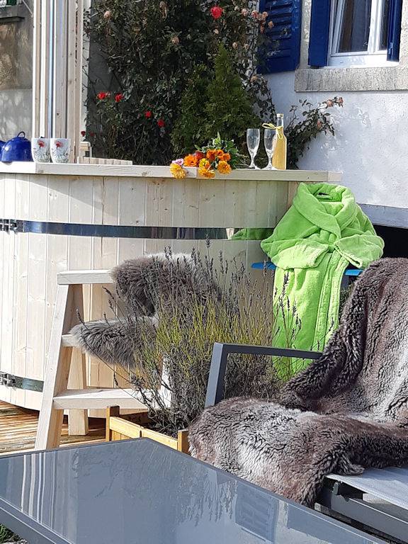 Gîte pour 18 personnes, avec terrasse et jardin ainsi que jacuzzi et sauna, animaux acceptés - 1
