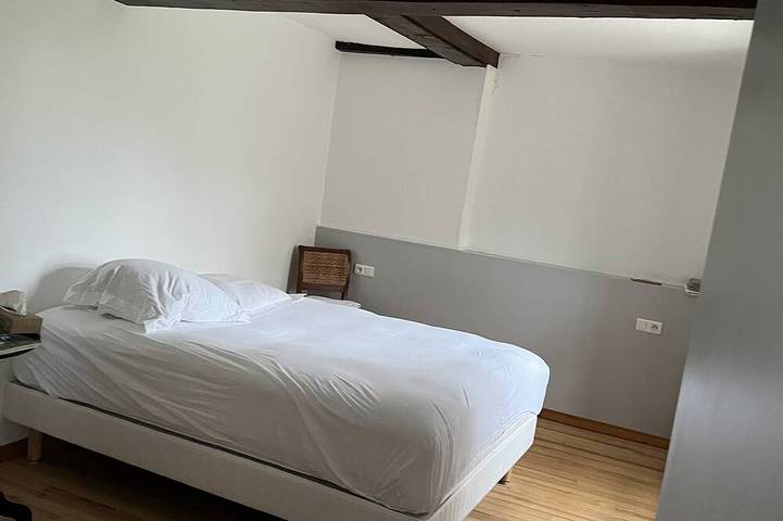 Château pour 20 personnes, avec jardin dans le Gers - 3