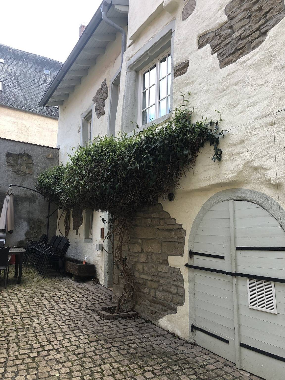 Altstadtmeise Rustika in Meisenheim, Pfälzer Bergland