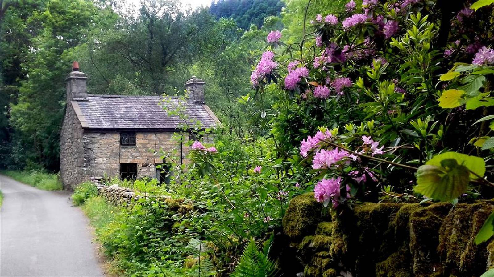 Glan Lledr in Snowdonia