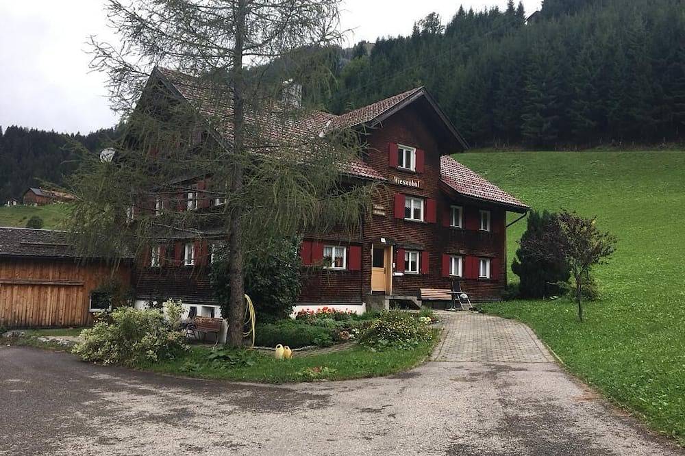 Ganze Wohnung, Sehr große Ferienwohnung im Dachgeschoss mit Aussicht zu den Bergen in Schröcken, Bregenzerwald
