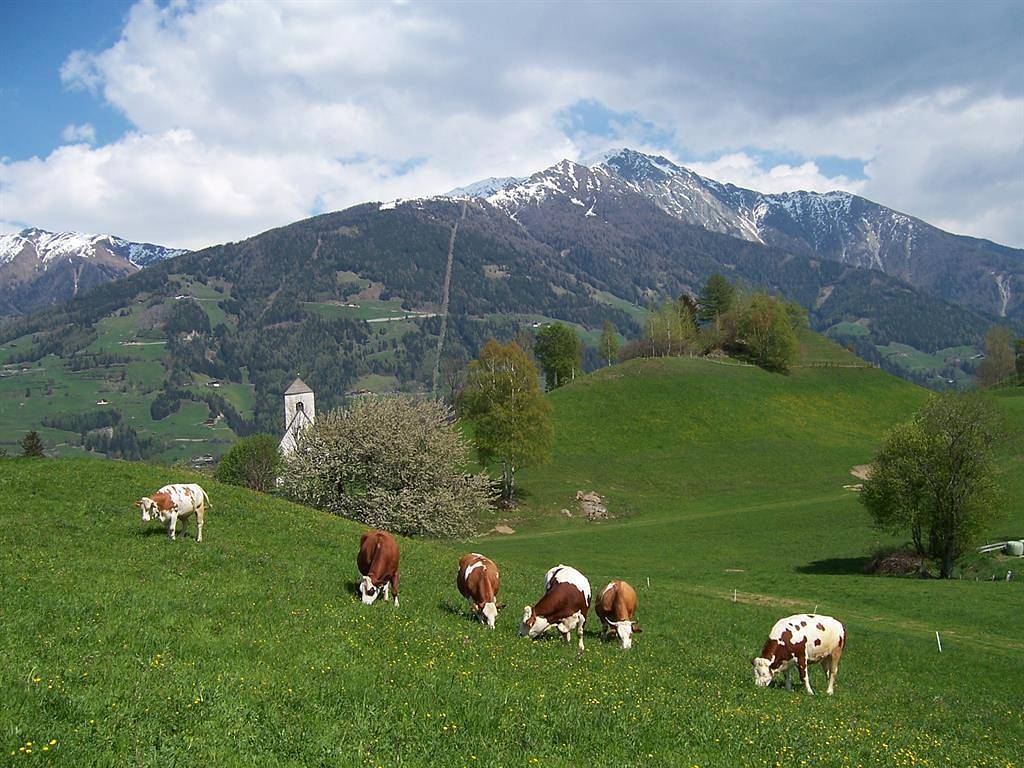 Ganze Ferienwohnung, Matzenhof in Matrei in Osttirol, Osttirol