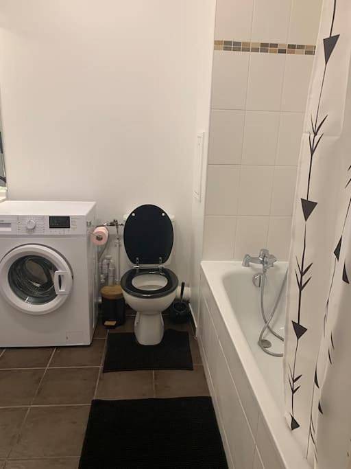 Gîte pour 4 personnes, avec vue et jardin à Ermont - 3