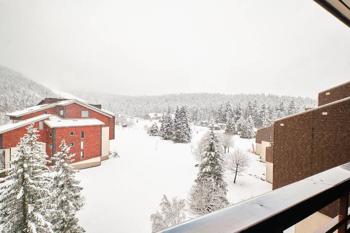 Studio für 4 Personen am Vercors - 4