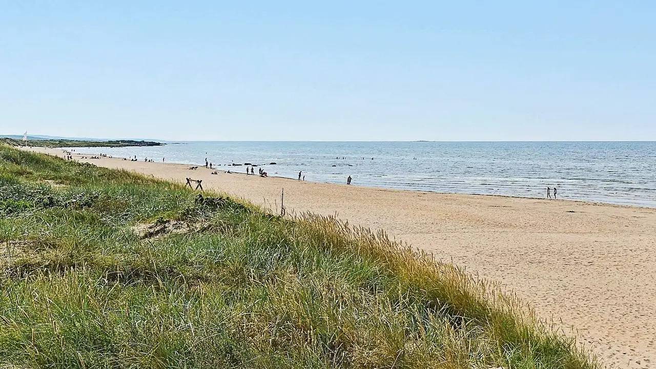 Ferienhaus für 5 Personen (50 m²) in Falkenberg in Falkenbergs und Umgebung