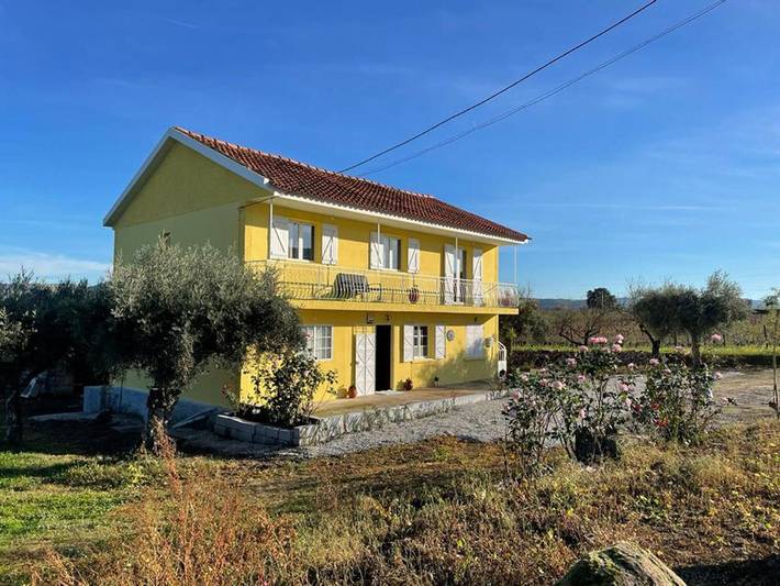 Location de vacances pour 6 personnes, avec vue et jardin, animaux acceptés à Vila Flor - 4