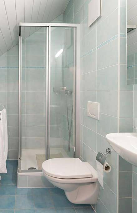 Gîte pour 7 personnes, avec vue ainsi que jardin et vue sur le lac à Saint-Cergue - 4