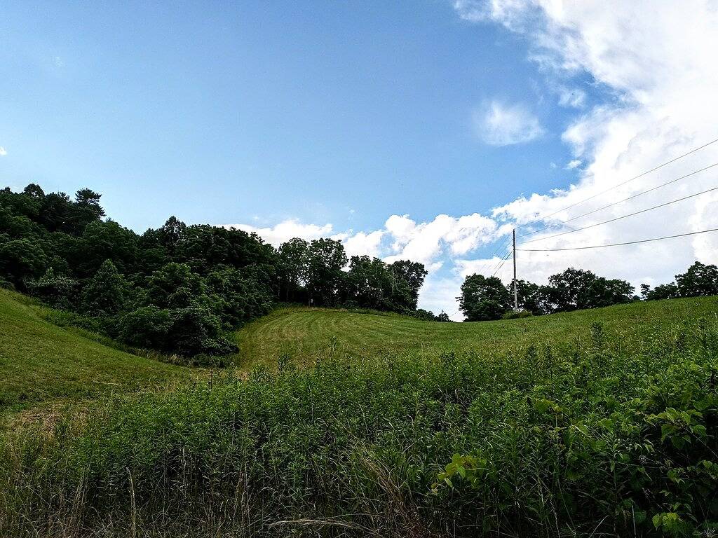 Privat, Abgeschiedenes Haus auf 52 Hektar großen Farm in Madison County (NC)