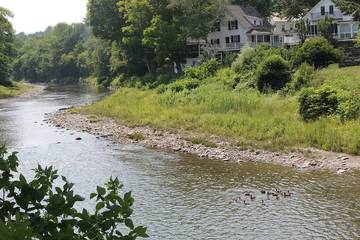 Vacation House for 8 Guests in Woodstock (VT), Vermont, Picture 1
