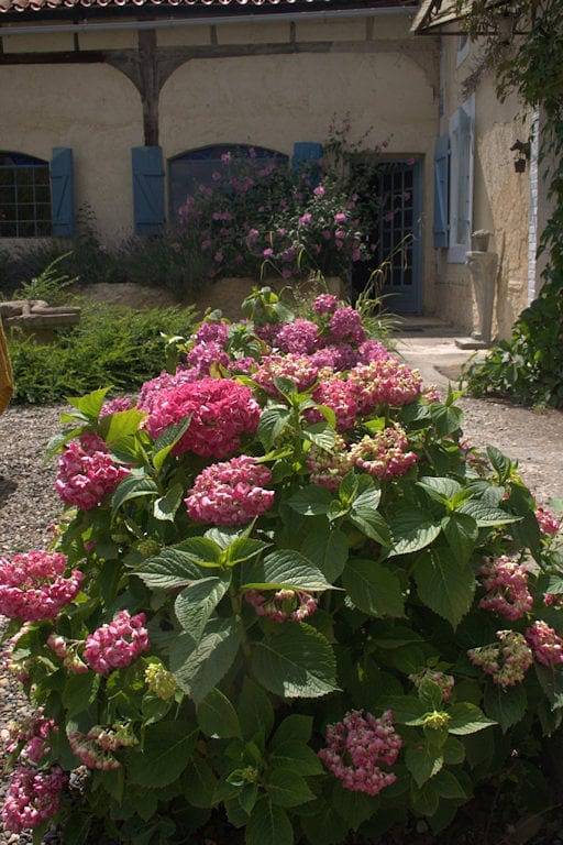Les Oliviers - Chambre Olive in Auriébat, Hautes-Pyrénées