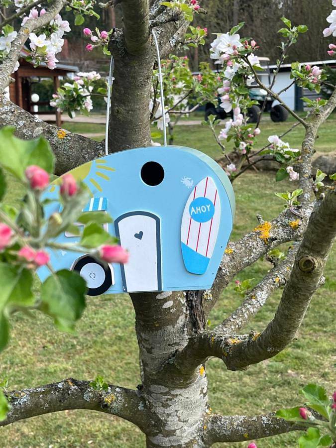 Ferienhaus für 5 Personen, mit Ausblick und Garten in Fürstenberg/Havel - 2