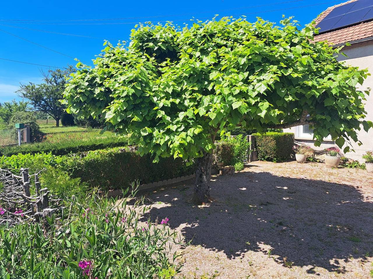 Gîte des Ouches in Mesvres, Région d'Autun