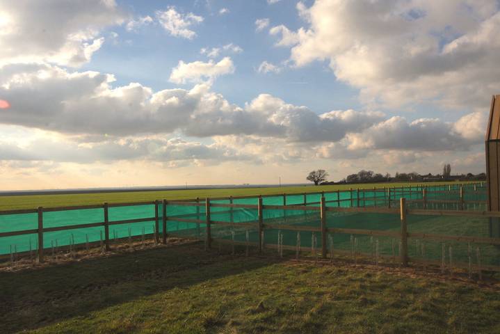 Glamping für 4 Personen, mit Garten in England - 3