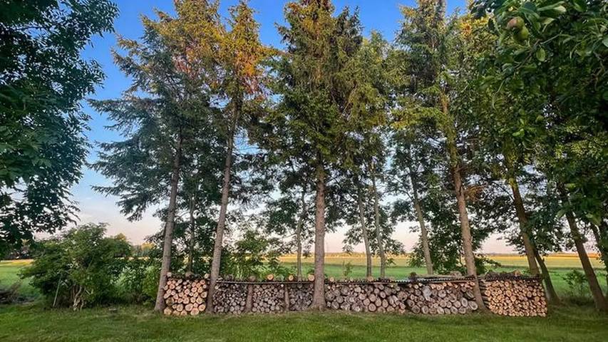 Ferienhaus für 5 Personen, mit Garten in Kenz-Küstrow - 3
