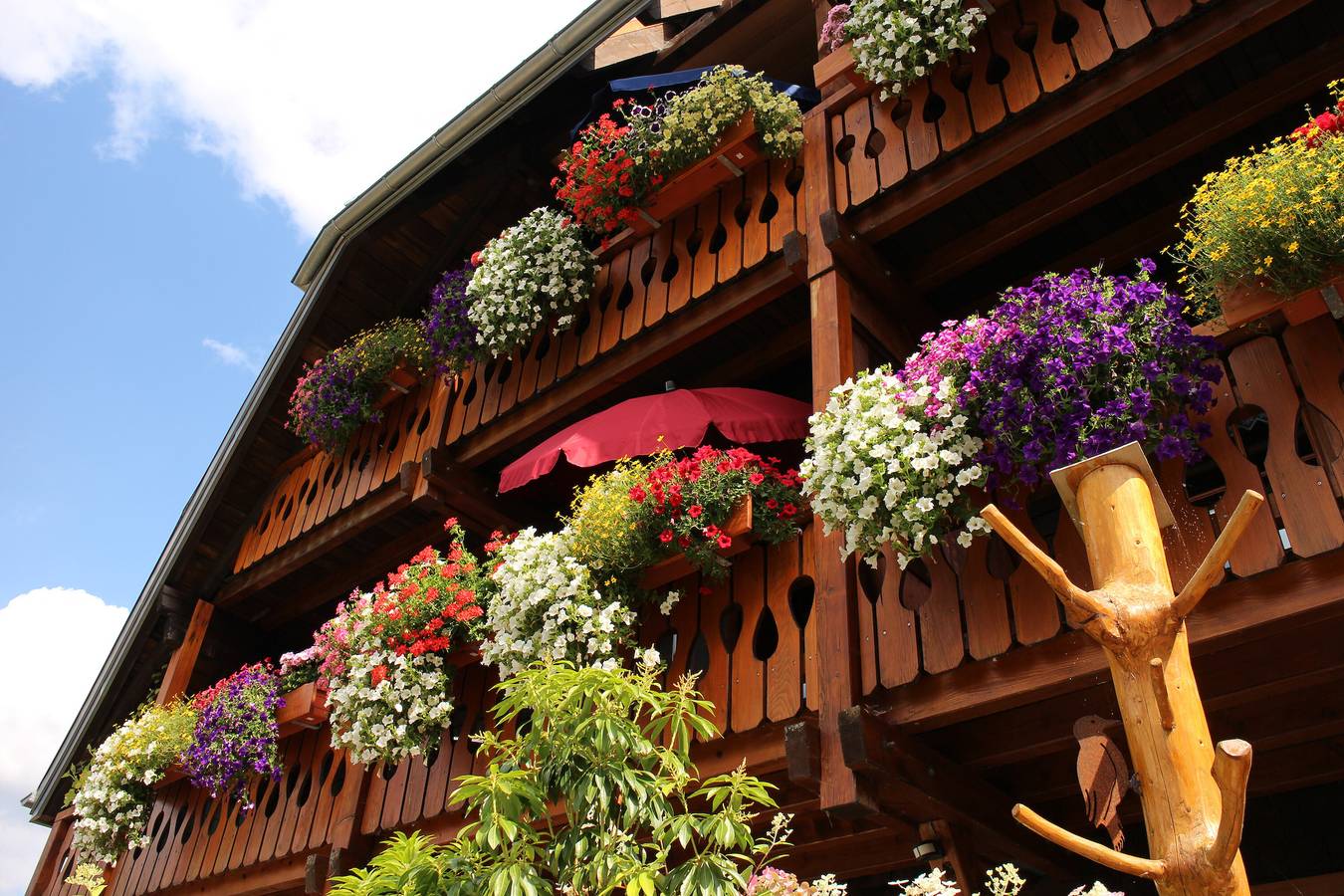 Ganze Wohnung, Ferienwohnung Panoramablick 1 - Neu!!! incl. 3-Welten-Card - 140 kostenlose Attraktionen in Bernau im Schwarzwald, Südschwarzwald