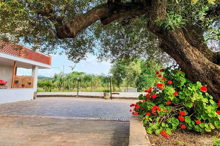 Appartement de vacances pour 4 personnes, avec terrasse, animaux acceptés - 1