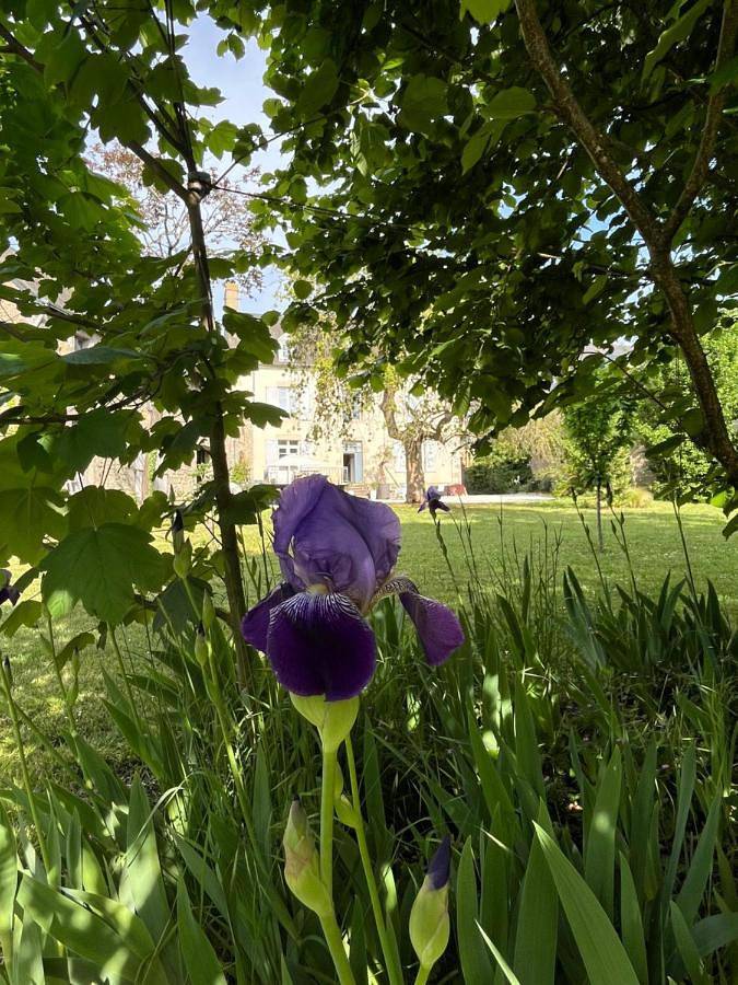Gîte pour 2 personnes, avec Terrasse et Jardin à Fresnay-sur-Sarthe