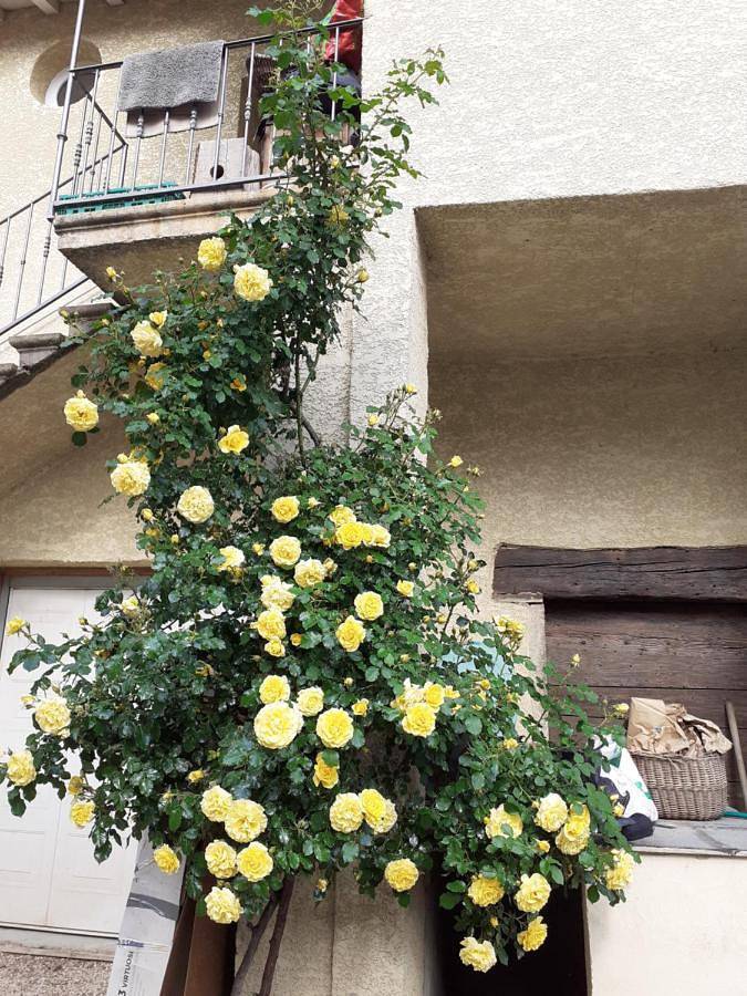Appartement entier, Appartement de caractère in Irigny, Lyon et ses environs