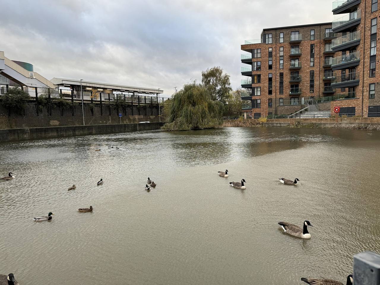 Ganze Ferienwohnung, Luxury Apartment in Dartford in Dartford, Kent