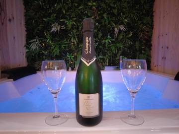 Appartement de vacances pour 2 personnes, avec terrasse ainsi que sauna et jacuzzi, animaux acceptés dans Indre