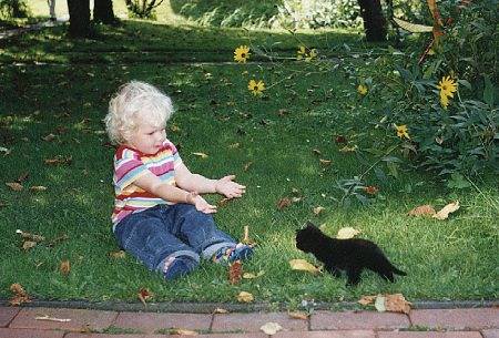 Bauernhof für 5 Personen, mit Garten, kinderfreundlich in Werdum - 3