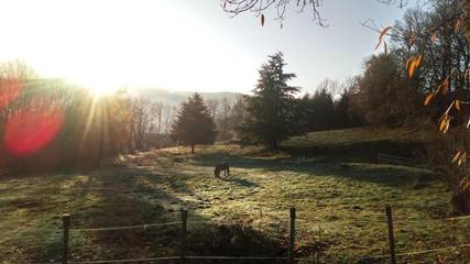 Chambre d’hôte pour 2 personnes, avec vue et jardin à Ban-sur-Meurthe-Clefcy