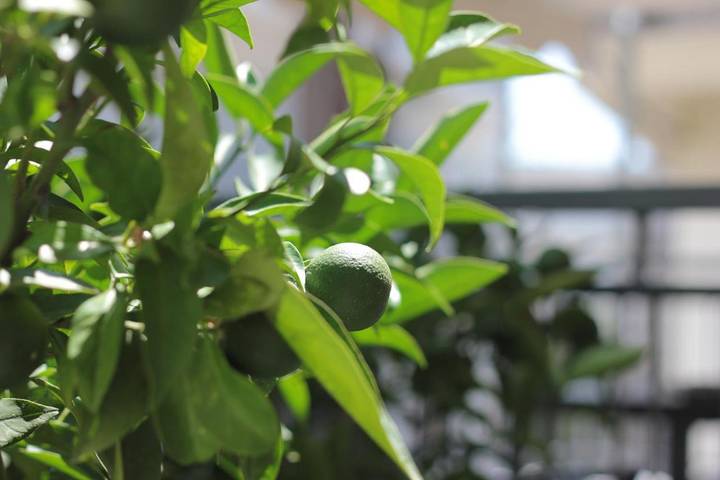 Location de vacances pour 7 personnes, avec balcon à Kavala - 3