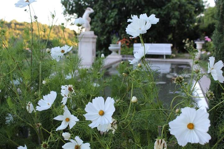 Chambre d’hôte pour 2 personnes, avec jardin ainsi que terrasse et vue à Valensole - 4