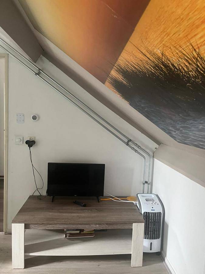 Ferienwohnung für 6 Personen, mit Ausblick und Garten, mit Haustier in Petten - 4